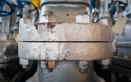 Forged Valve Bonnets