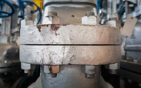 Forged Valve Bonnets